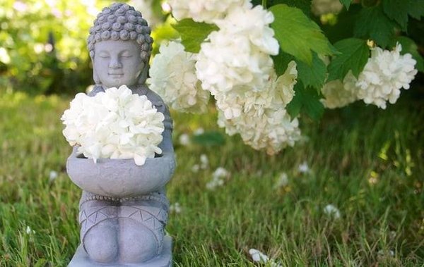 Découvrez le pouvoir des plantes avec le tarot de la magie verte